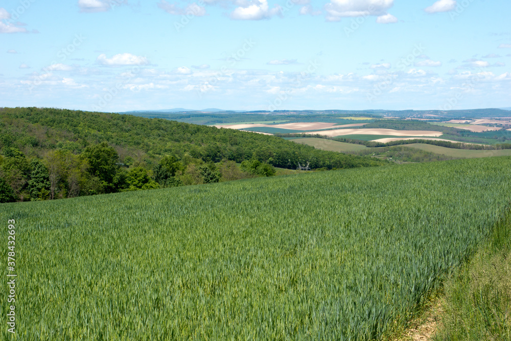 Fototapeta premium View on Hungarian landscape
