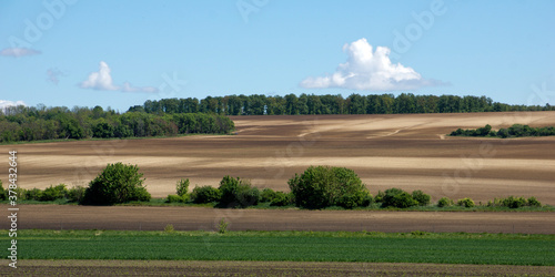 Obraz na plátně View on Hungarian landscape