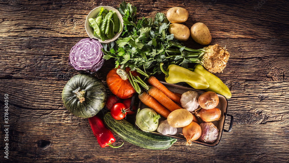 Selection of autumn freshly harvested vegetable on a vintage wooden surface