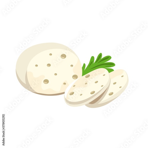 Piece of sliced cheese Modern flat style realistic vector illustration icons isolated on white background