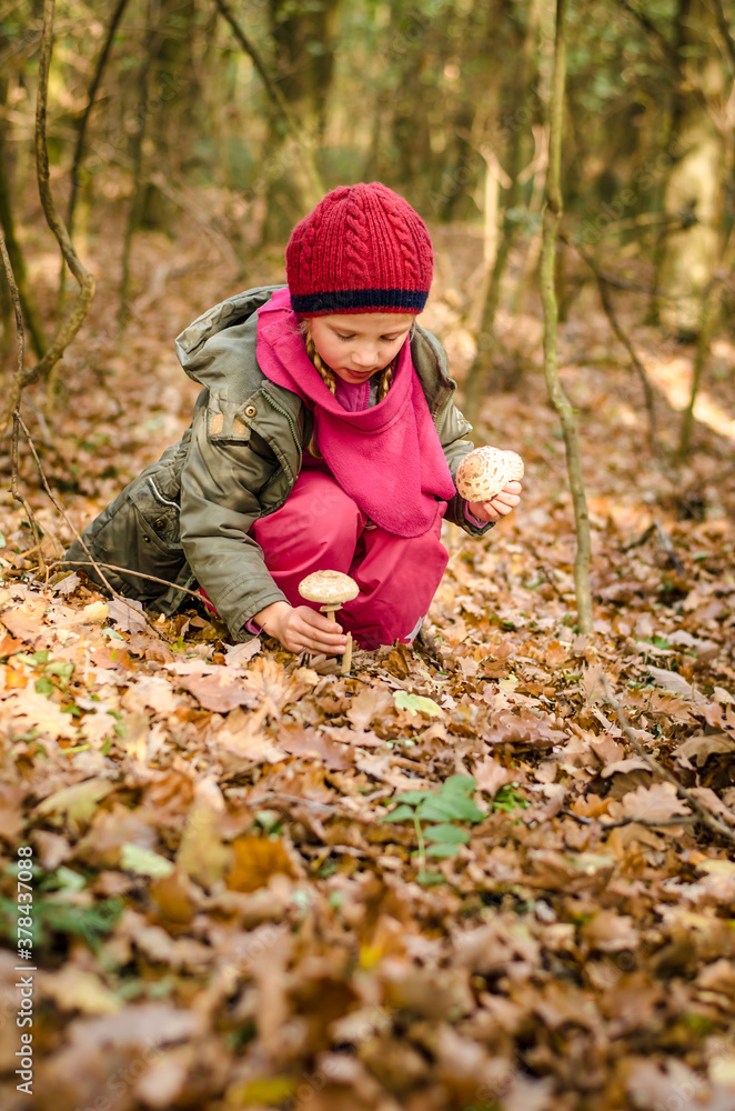 atmosphere of autumn with bright vivid autumnal green, orange and yellow colors and foliage and mushrooms atmosphere of autumn with bright vivid autumnal green, orange and yellow colors and foliage and mushrooms