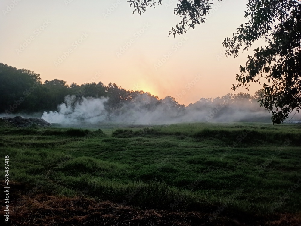 Fototapeta premium evening mist over the field