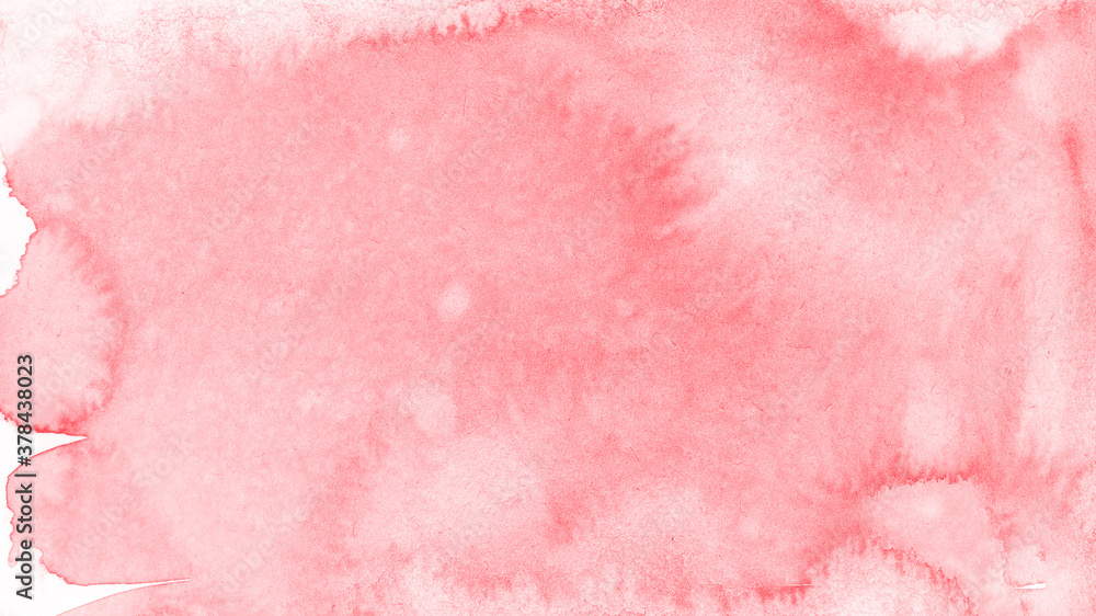 Fototapeta pink rose background