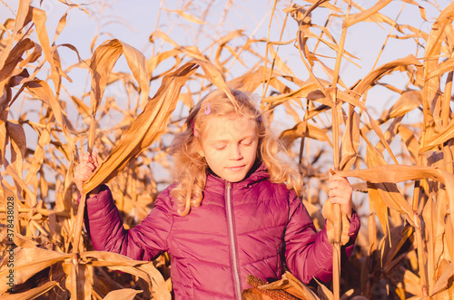 lovely blond girl posing in corn field