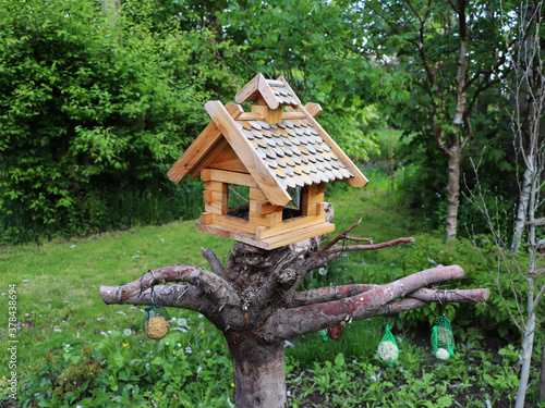 The birdhouse in the spring forest