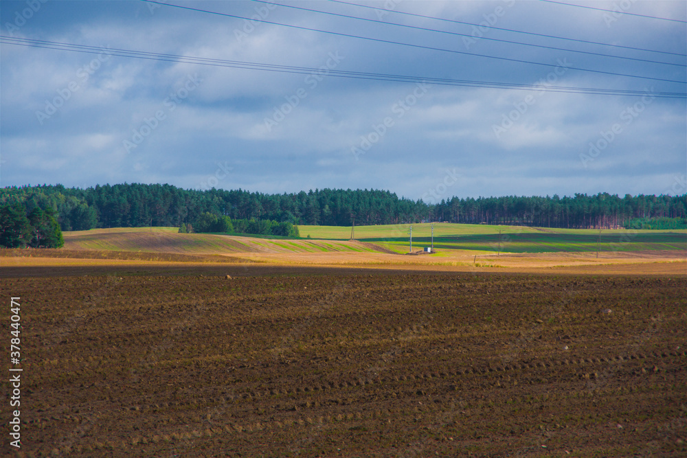 Vast and sunlit, colorful farmland, field, rural landscape