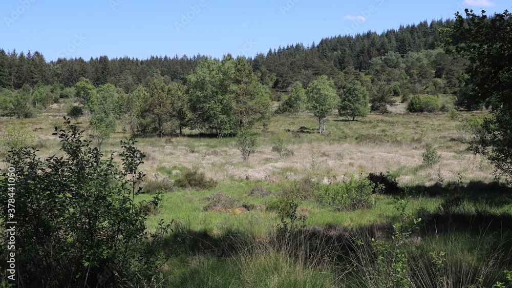 landes du plateau des mille vaches landes du plateau des mille vaches