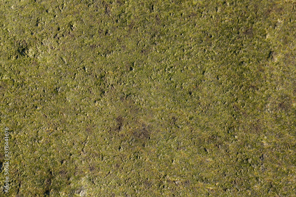 close-up of the texture of the stone by the lake. close-up of the texture of the stone by the lake.