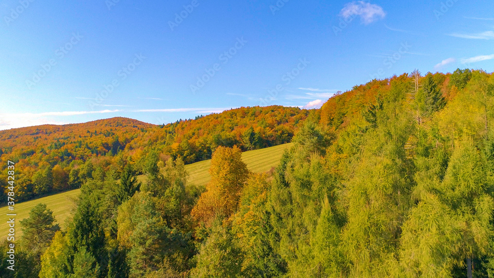 AERIAL: Flying over a lush forest in Kranjska Gora reveals a large empty pasture