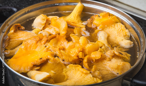 Blanching of chanterelles in a pot