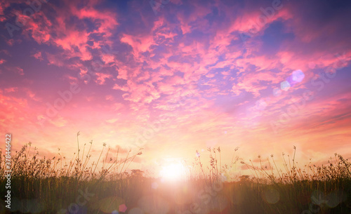 Платно World environment day concept: Beautiful meadow and pink sky autumn sunrise back