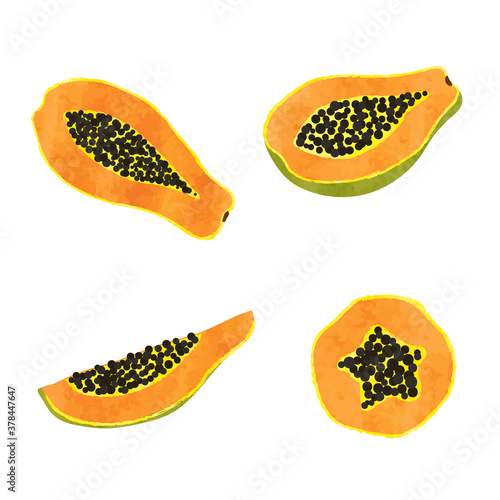 Set of watercolor papaya fr...