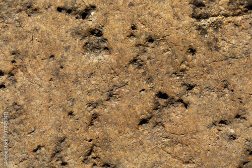 close-up of the texture of the stone by the lake.
