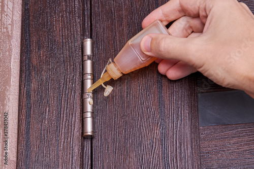 adjusting door hinge using lubricating oil. indoors. fixing door squealed domestic problem