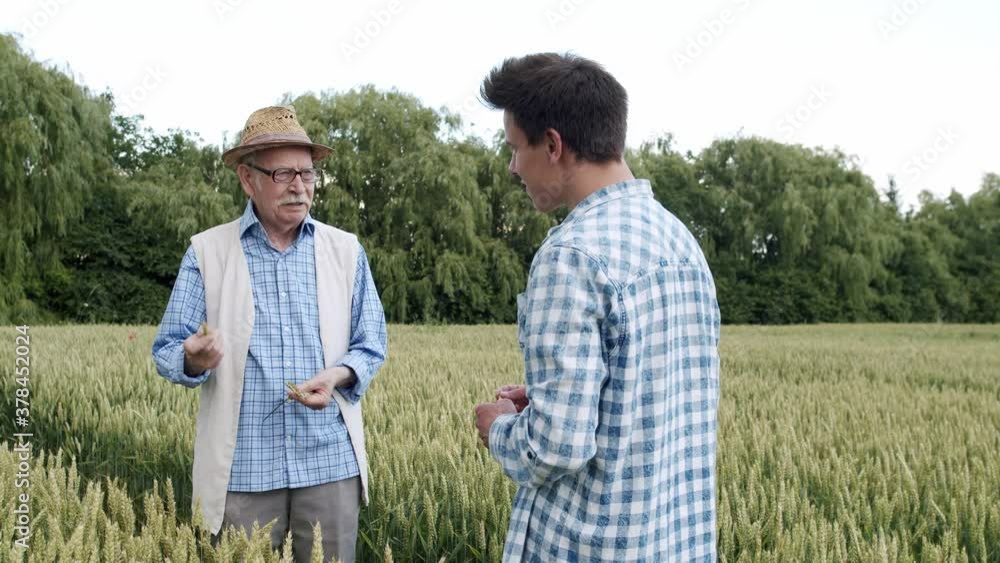 Two successful farmers of different ages having talk during being in wheat field Two successful farmers of different ages having talk during being in wheat field
