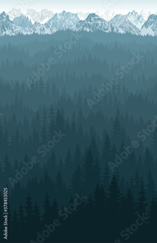 vector seamless mountains  himalayan panorama background with woodland forest