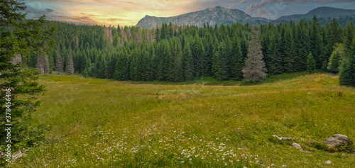 Tatra National Park. Poland