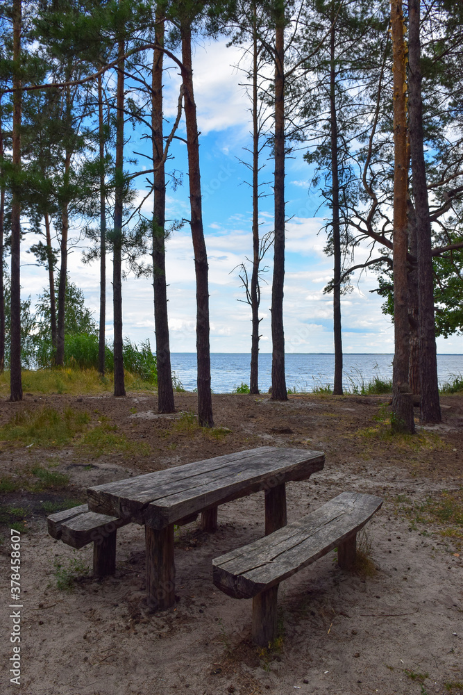 In a pine forest park on the seashore there is an old wooden table and two benches dug into the ground. In the background blue sky and sea.
