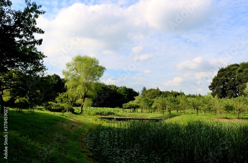 秋 空 風景 公園 爽やか