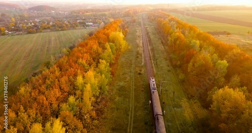 Aerial view: train among tree band at the rural scene in autumn.