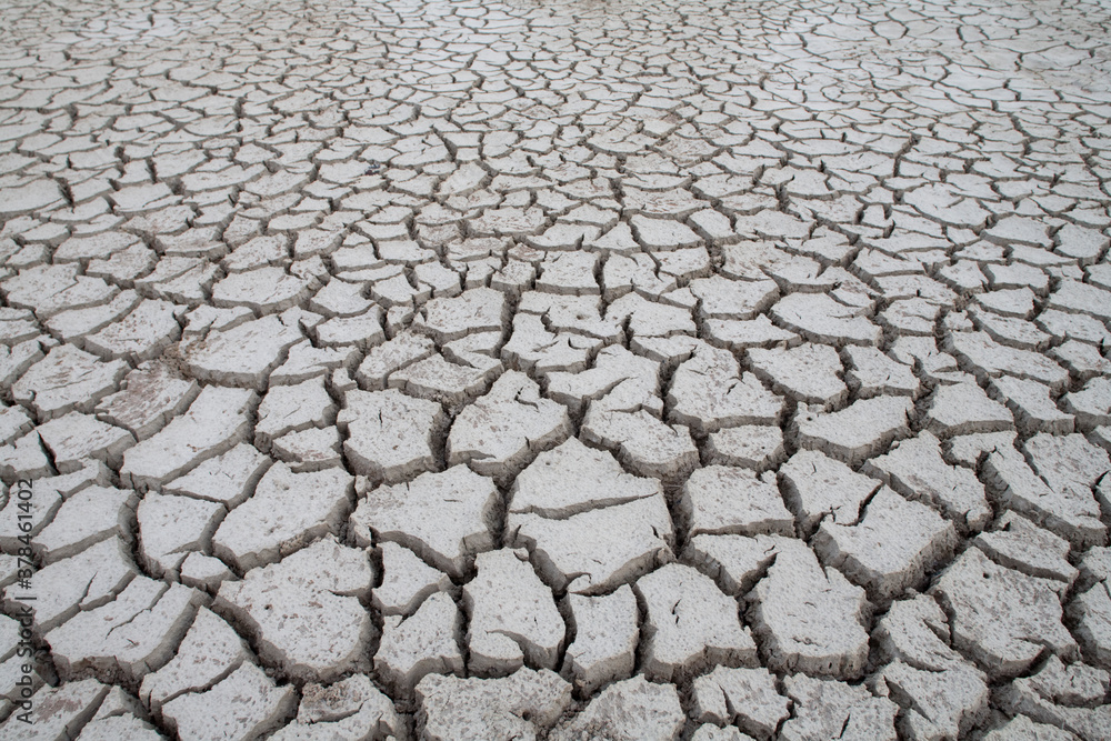 Dried Lake Bed, Little Cayman Island Dried Lake Bed, Little Cayman Island