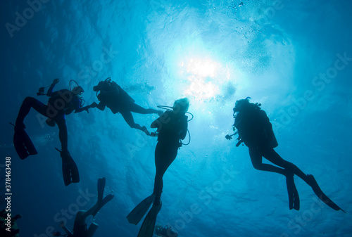Scuba Divers, Cayman Islands © Paul