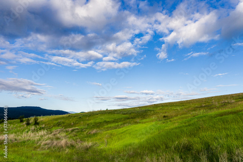 a hill covered with lush green grass under a blue sky with clouds in British Columbia Canada