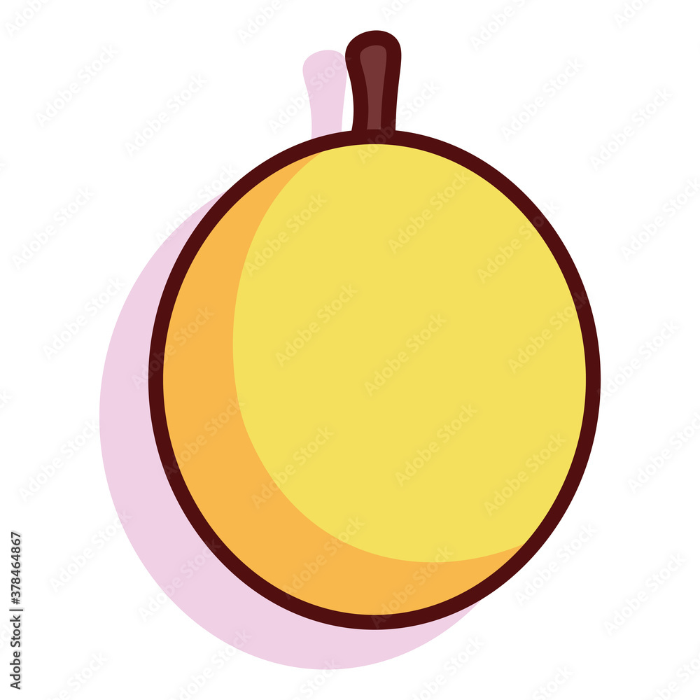 Isolated passion exotic fruit tropical diet icon- Vector Isolated passion exotic fruit tropical diet icon- Vector