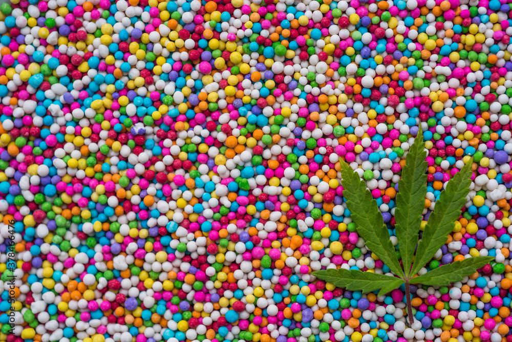 Macro close up portrait of marijuana canabbis plant leaf, on colorful candy background, selective focus Macro close up portrait of marijuana canabbis plant leaf, on colorful candy background, selective focus