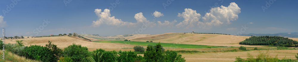 Wide panorama of wheat fields in Viterbo Province Lazio Region Italy