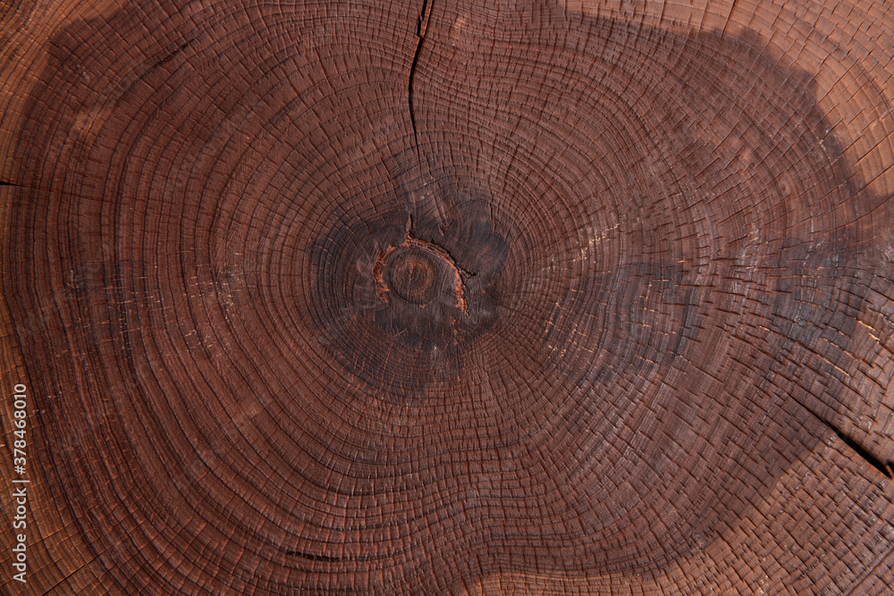 Naklejka premium A square wood tray isolated white, top view at the studio.