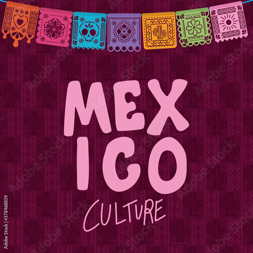 Mexico culture with banner pennant vector design