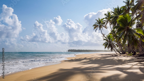 Palm trees hang over the shore of a wild beach. Turquoise ocean water on the sand. Lovely tropical background