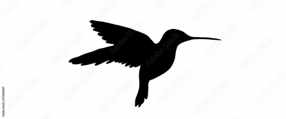 Fototapeta premium silhouette abstract flying hummingbirds isolated on white background illustration