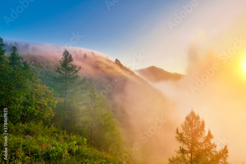 The morning  fog between the mountains landscape.