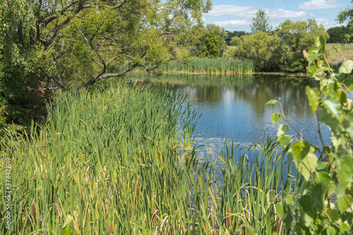 Landscape photos taken in the vicinity of the village of Tarkhany