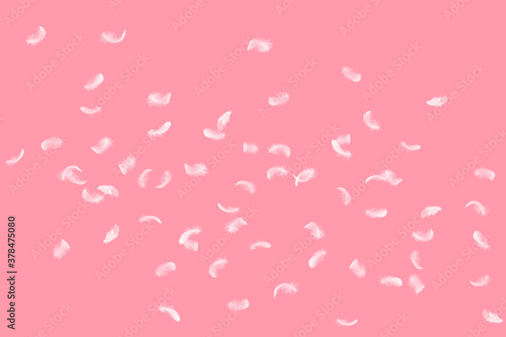 Light and soft fluffy a white feathers floating on pink background. Feather abstract freedom concept background. Light and soft fluffy a white feathers floating on pink background. Feather abstract freedom concept background.