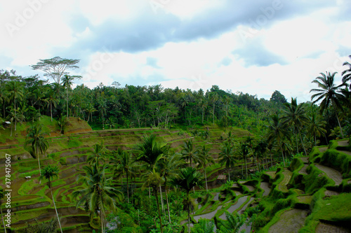 Rice fields in Bali are indeed a special attraction, especially in the Ubud area, many tourists come here just to see this unique rice field.