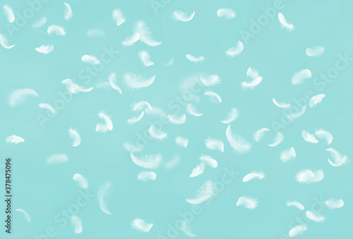 Light and soft fluffy a white feathers floating on pastel blue background. Feather abstract freedom concept background.