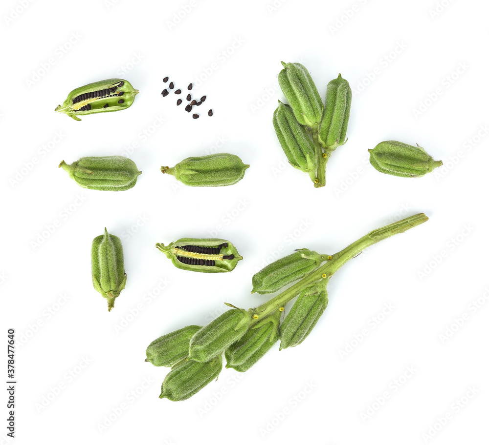 Top view of Set Black sesame islated on white background Top view of Set Black sesame islated on white background