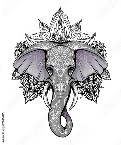 Contour color native elephant head with trunk, tusks and boho ornaments. Ganesha head with mandala. Vector silhouette for print on t-shirt, cards, banners and your creativity.