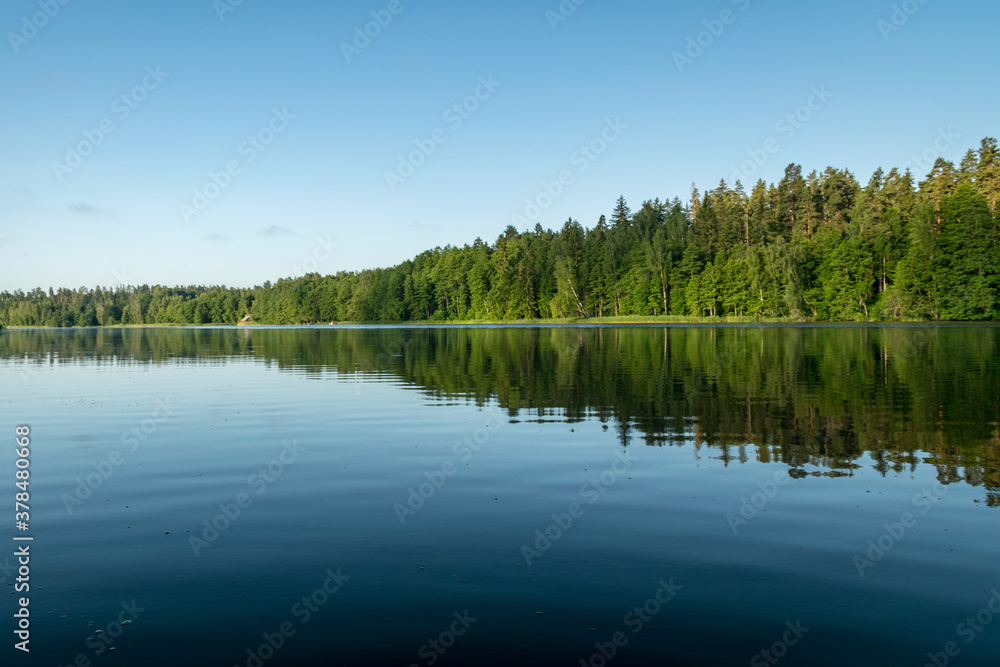 mirror image on the lake, green forest by the lake in reflection in the blue water, beauty in nature