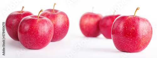 Red apples on a white background