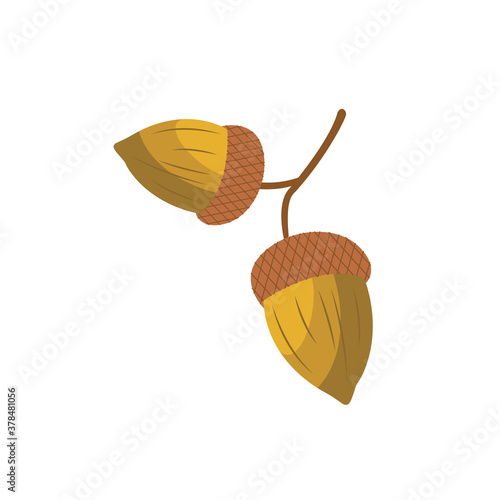 Pair of forest acorns color cartoon icon, flat vector illustration isolated.