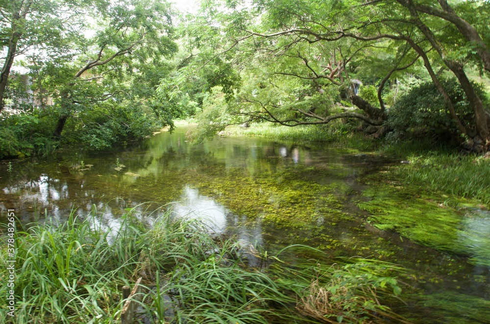 清流 清流