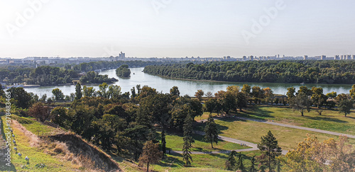 vineyard in autumn. Belgrade river Danubio  photo