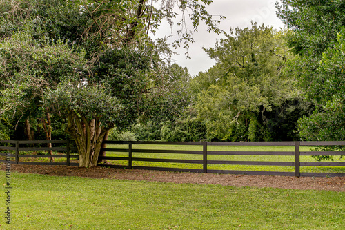 Green trees on a farm with a black picket fence 