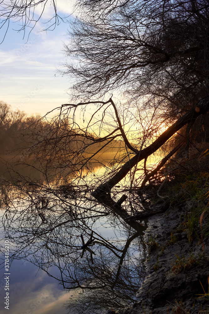 Bank of the Danube river with trees in late autumn at sunset Bank of the Danube river with trees in late autumn at sunset