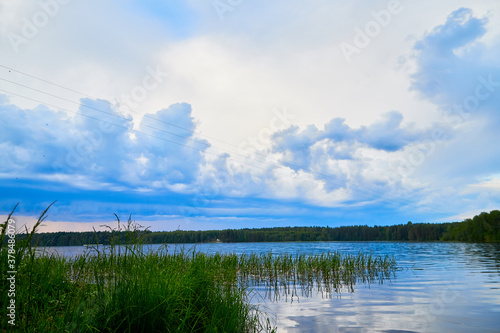 View of the lake water from the coast with trees and greenery  the horizon and blue sky with white clouds