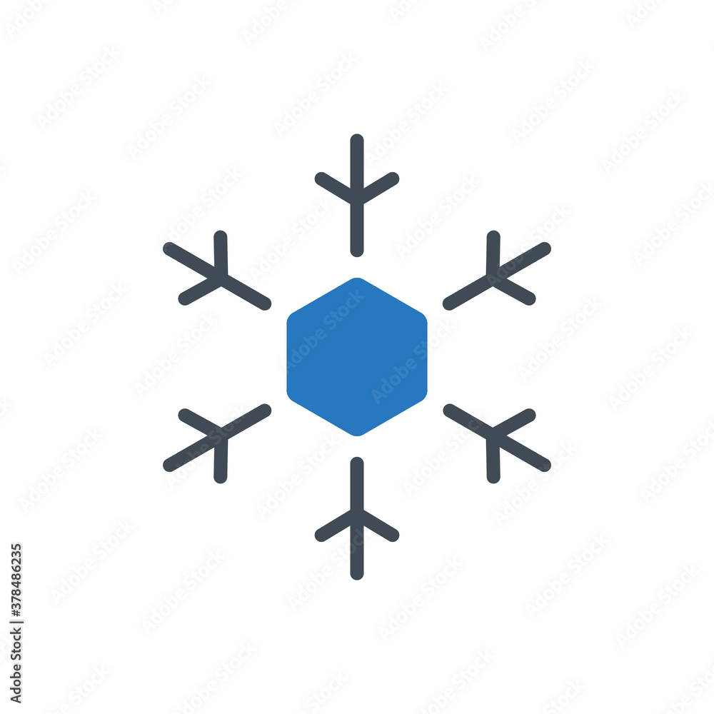 Obraz premium Snowflake icon